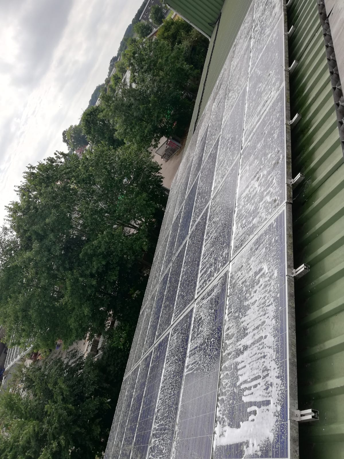 Solar panel cleaning