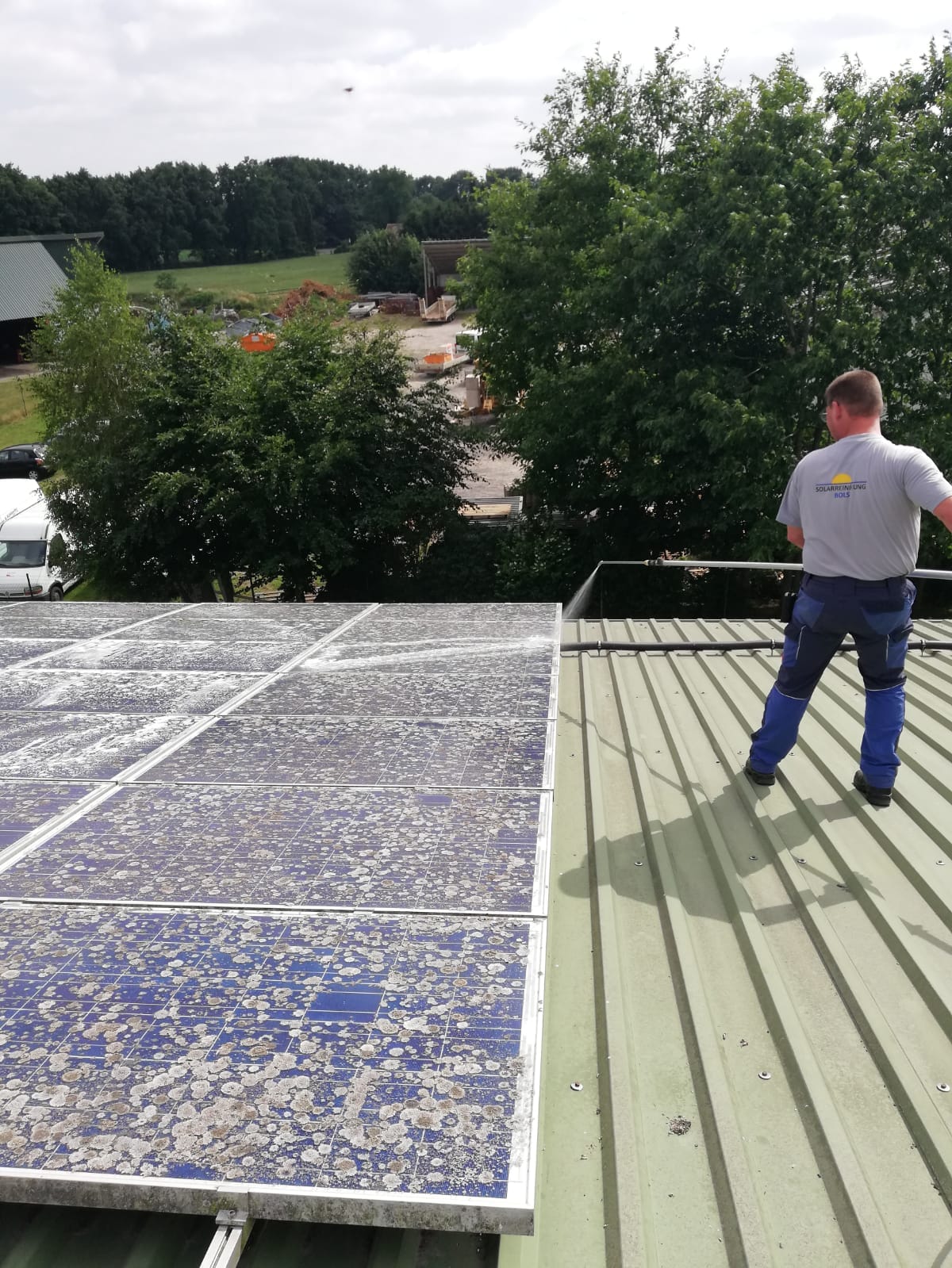 Solar panel cleaning