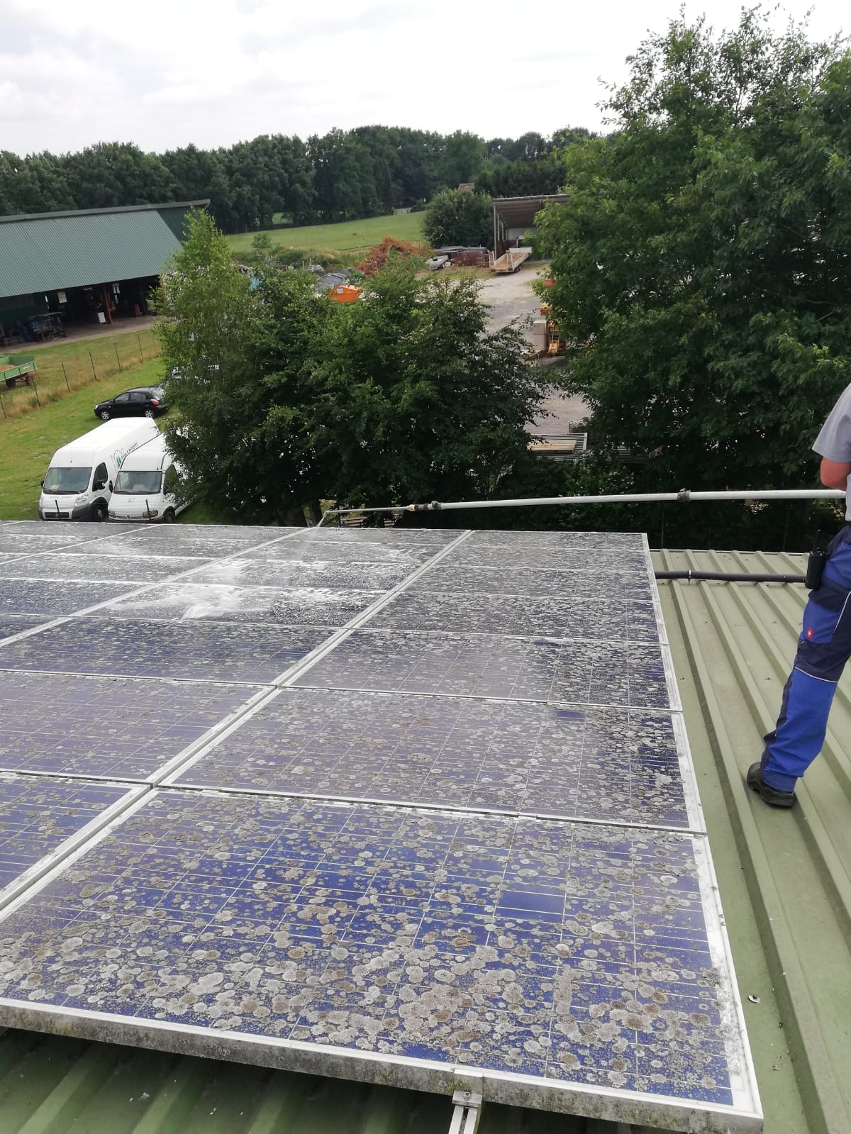 Solar panel cleaning