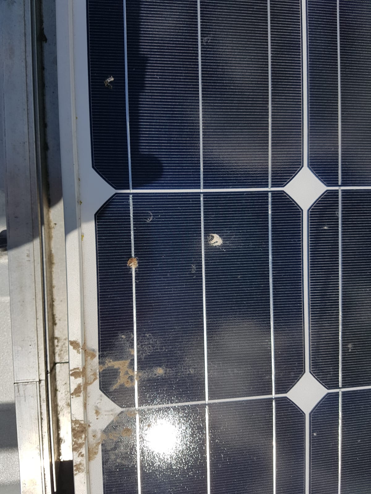 Solar panel cleaning